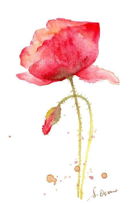 Zeigen Sie Dasjenige Quellbild An Blumen Aquarell Blumen Malen Aquarell Blumen