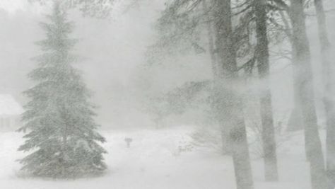 Under A Blizzard Or Ice Storm Warning What You Need To Do Under A Blizzard Or Ice Storm Warning What You Need To Do