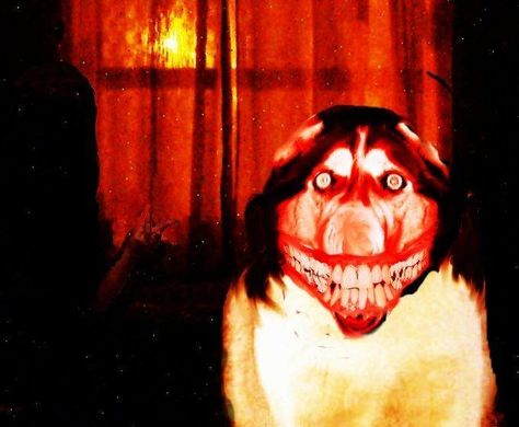 10 idées de Horror | creepypasta, horreur, histoire horreur De l'Exorciste à Coraline, toutes les références creepy de l