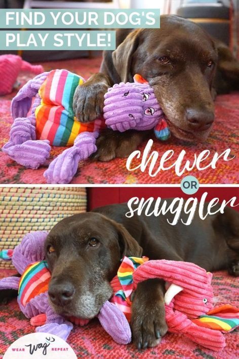 Plush Dog Toys For Tough Chewers And Snugglers Dog Toys Dog