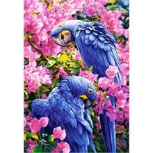 Castorland Puzzle Puzzledepo Com Puzzle Dunyasi Cross Paintings Bird Art Diamond Painting Castorland Puzzle Puzzledepo Com Puzzle Dunyasi Cross Paintings Bird Art Diamond Painting