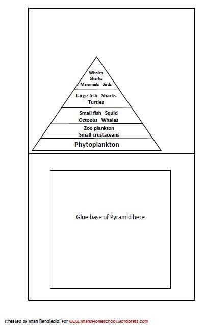 food pyramid template