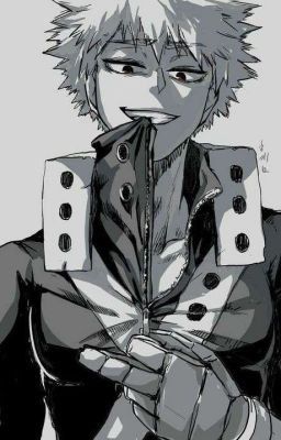 Bakugou X Model Reader