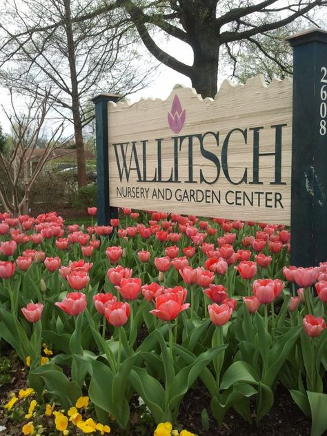Wallitsch Garden Center Has The Best Plants And Trees And The
