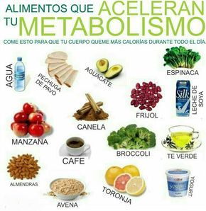 Alimentos que ayudan a quemar grasa del cuerpo Alimentos que ayudan a quemar grasa del cuerpo