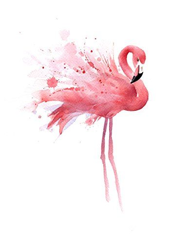 フラミンゴ のアイデア 57 件 フラミンゴ 動物 鳥類 フラミンゴ のアイデア 57 件 フラミンゴ 動物 鳥類