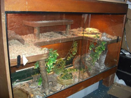 Stacked Vivariums For Sale Google Search Reptile Tank Bearded