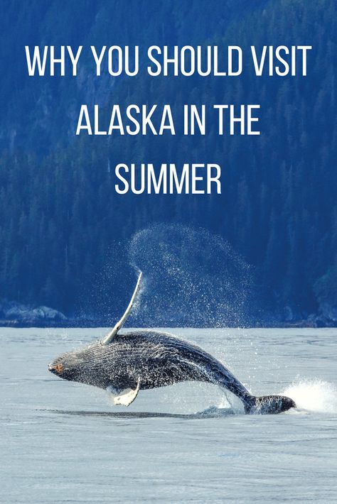 10 alaska ideas alaska travel team alaskan