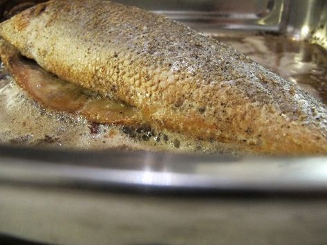 Ganzer fisch im ofen alufolie Ganzer fisch im ofen alufolie