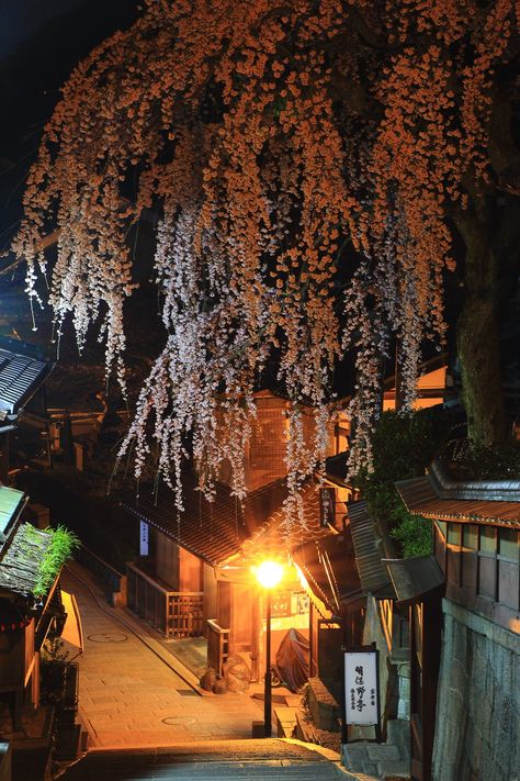 祇園の妖艶なしだれ桜 産寧坂の夜桜 美しい場所 しだれ桜 京都 夜桜 祇園の妖艶なしだれ桜 産寧坂の夜桜 美しい場所 しだれ桜 京都 夜桜