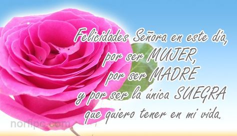 Mensajes Para Mi Suegra De Felicitacion Y Elogio Con Imagenes