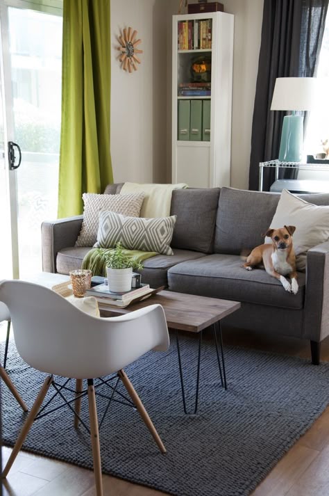 94 Best My Dark Grey Couch Ideas Living Room Decor Couches Living Room Decor Dark Grey Couches, What Colour Curtains Go With Grey Couch