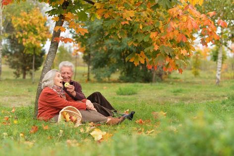 100 prozent kostenlose dating-sites für singles über 50