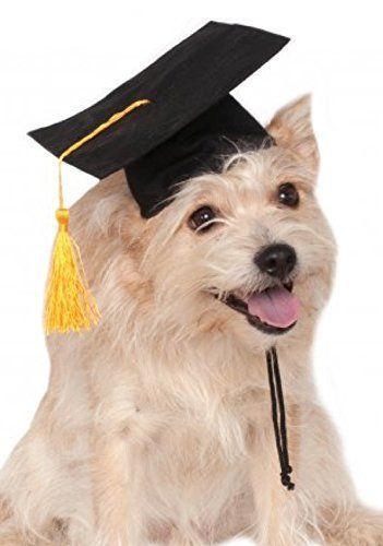 Pet Ownership Provides Many General Benefits To Human Health Those That Especially Relate Christmas Dog Collar Diy Christmas Dog Collar Christmas Dog Outfits
