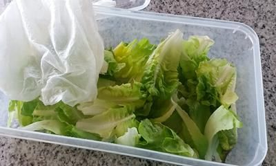 Cómo Mantener Fresca La Lechuga Truco Fácil Lechuga Verduras Ensaladas Frescas