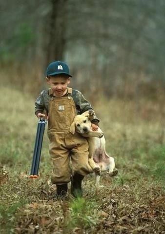 Bird Dog Training For Two Start Em Young Yellow Lab Birddog