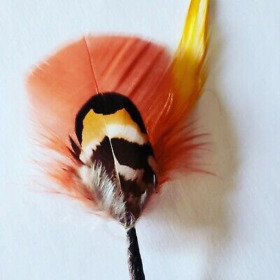 Fedora Pin Hatband Feathers Tuxedo Peacock Yellow Wedding Hat Band Feather Fedora Pin Hatband Feathers Tuxedo Peacock Yellow Wedding Hat Band Feather