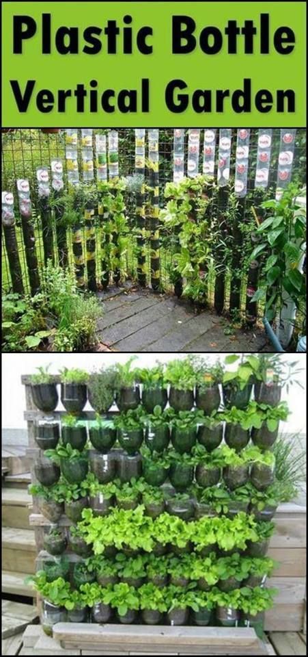 You Will Never Throw Away Grass Clippings After This Gardening