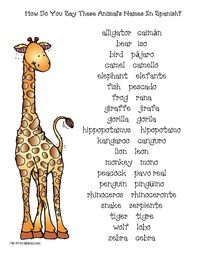 spanish zoo animal activities