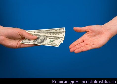 какое по счету место занимает