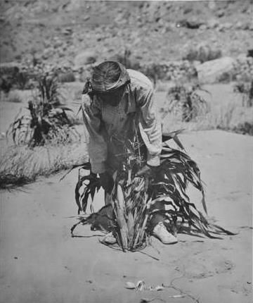 The Hopi Indians (1915)