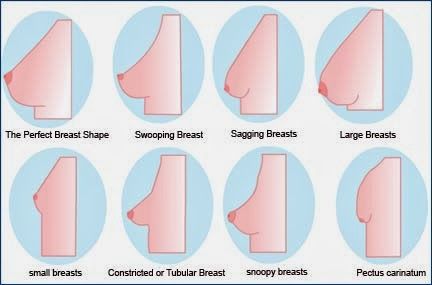 The Perfect Shape Boobs