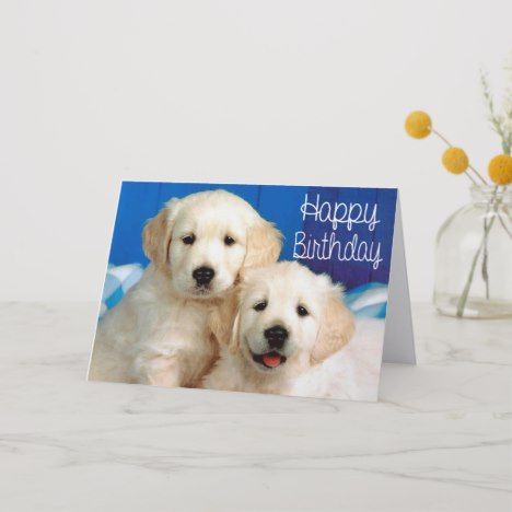 Happy Birthday Golden Retriever Puppy Dog Card Zazzle Com