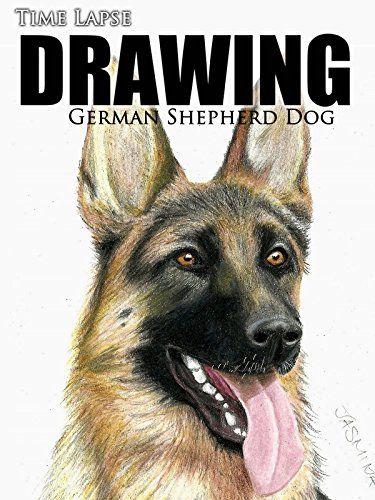Clip Time Lapse Drawing German Shepherd Dog Germanshepherds