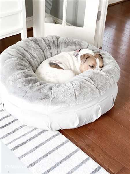 Animals Matter Ruby Puff Orthopedic Luxury Dog Bed Certipur Us Cozy Dog Bed Dog Bed Luxury Dog [ 600 x 450 Pixel ]