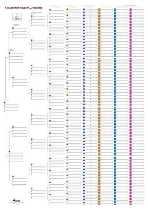 blank family tree template 31 free word pdf documents download