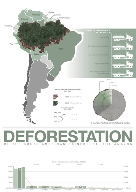 Infographic Poster Design Deforestation Of The Amazon Rainforest