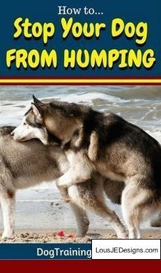 How To Train A Service Dog At Home And Pics Of How To Train Your