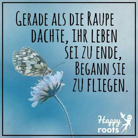 Pin von Brigitte Gyger auf Lustige Sprüche (mit Bildern) Sprüche
