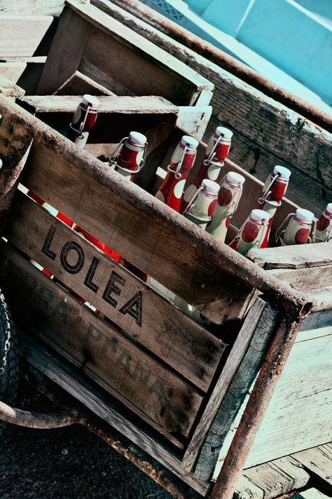 Hola Lolea Is Synonym For Pic Nic Celebration And Joy The Lolea Is Synonym For Pic Nic Celebration And Joy The Perfect Refreshing Drink Our Parties Gatherings With Friends Family All Gathered