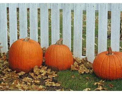 East Urban Home Pumpkins Cotton Orange Area Rug Wayfair In 2020 Orange Area Rug Cheap Halloween Decorations Thanksgiving Decorations