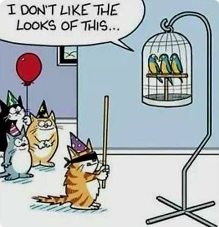 Humor tuesday hilarious kids 52+ Ideas #humor | Cat jokes, Funny cartoons, Cat birthday