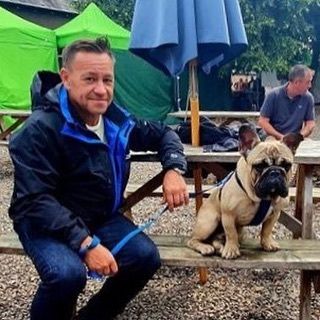 Camping Caravan Caravanlife Elddis Frenchie Frenchbulldog
