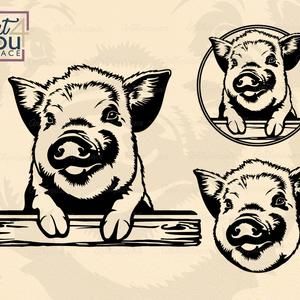 Download Mini Pig Svg Cricut Pig Pet Tag Download Silhouette Vector Piggy Face Png Piglet Head Dxf Cute Animal Clipart Shirt Svg Cutting Decal Pet Portraits Art Collectibles Kromasol Com