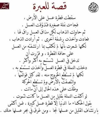 Pin By Salma On مواقف عظيمة حكم ومواعظ وأقوال مأثورة Wisdom Quotes Words Quotes Wisdom Quotes Life