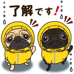 気軽にスタンプ パグ 夏季編 Lineスタンプ スタンプ かわいい ありがとう スタンプ 気軽にスタンプ パグ 夏季編 Lineスタンプ スタンプ かわいい ありがとう スタンプ