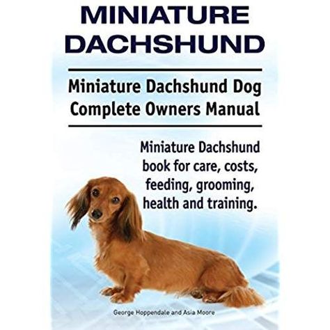 Miniature Dachshund Miniature Dachshund Dog Complete Owners