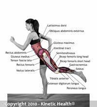 knees hyper extended effects kinetic chain google search fitness what muscles running works