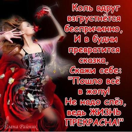 Бесплатное Онлайн Прикольные Фото Бесплатное Онлайн Прикольные Фото