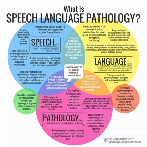 Speech Language Pathologist Resume Sample - My Perfect Resume - speech therapist resume Speech Language Pathologist Resume Sample - My Perfect Resume - speech therapist resume