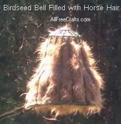 Homemade Oriole Food Nectar Attracting Orioles Bird Crafts Backyard Birds Sanctuary Garden Bird Feeders Oriole Bird