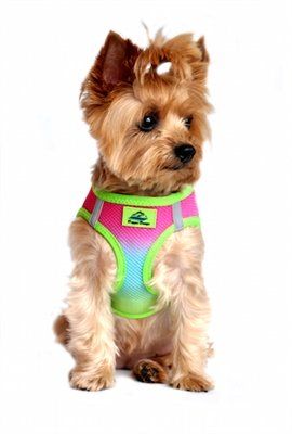 Rainbow Ombre American River Choke Free Dog Harness From Simply