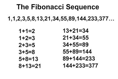 متتالية فيبوناتشي سر من ضمن أسرار الطبيعة Math Fibonacci Fibonacci Sequence