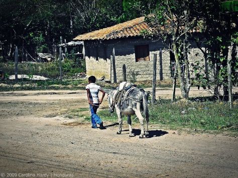 19 El Lugar Donde Está Mi Corazón Ideas Honduras Honduran Recipes Honduras Food