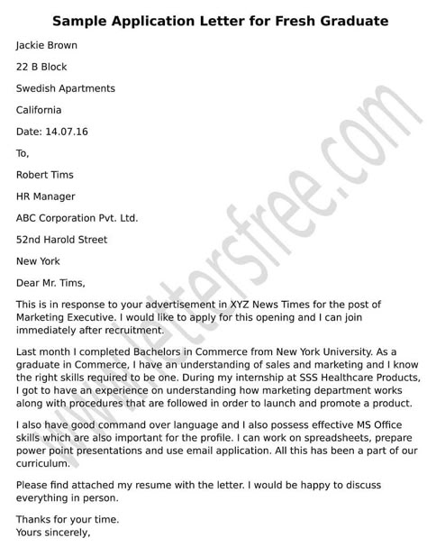 sample of application letter for beginners