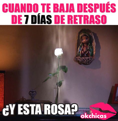 21 Ideas De Periodo Imágenes Graciosas Memes Divertidos Humor Del Periodo